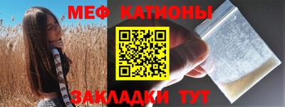 прущие грибы Камышлов