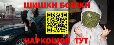 прущие грибы Камышлов