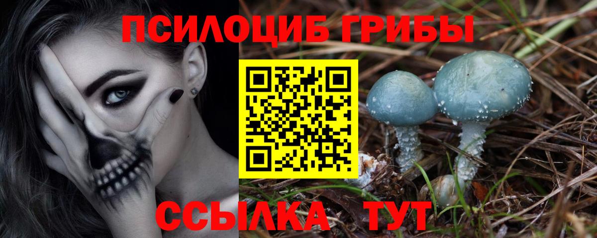 Галлюциногенные грибы Magic Shrooms  Вход с VPN  Галлюциногенные грибы ЛСД  Краснокаменск 